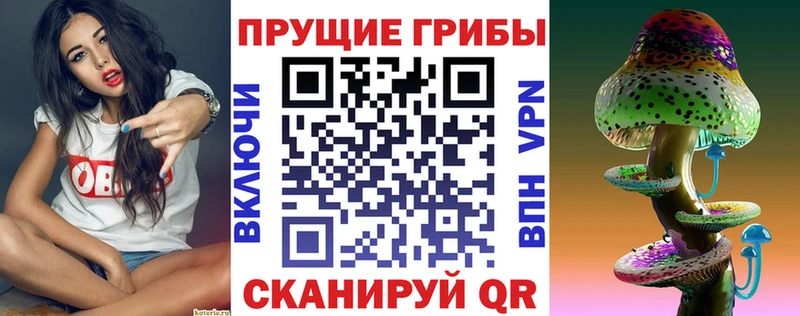 ссылка на мегу зеркало  Красавино  Галлюциногенные грибы Psilocybine cubensis 